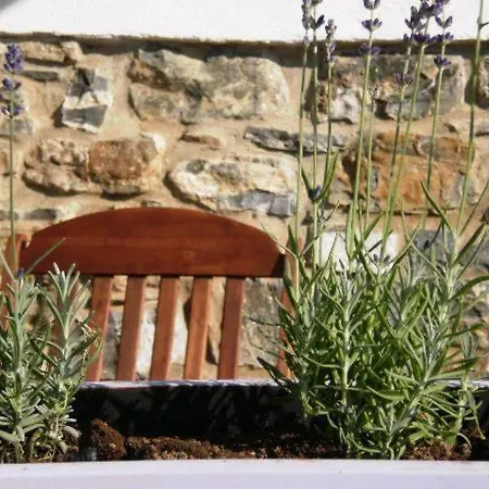 Bed & Breakfast Cilentowave