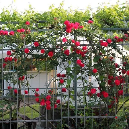 Cilentowave Bed & Breakfast *