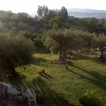 Cilentowave Bed & Breakfast Casal Velino