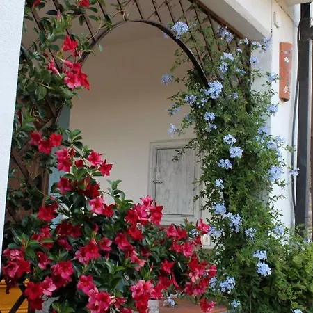 Bed & Breakfast Cilentowave